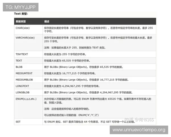 全面解析K8电子网址的官方网址及其最新更新，助您轻松进入正规平台