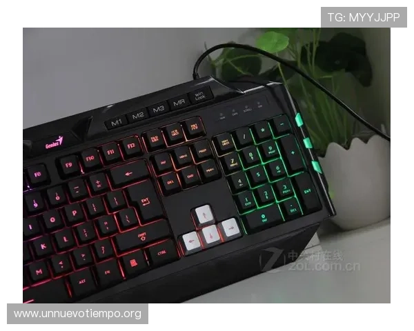 如何设置强密码与开启双重验证保障K8电竞账号安全